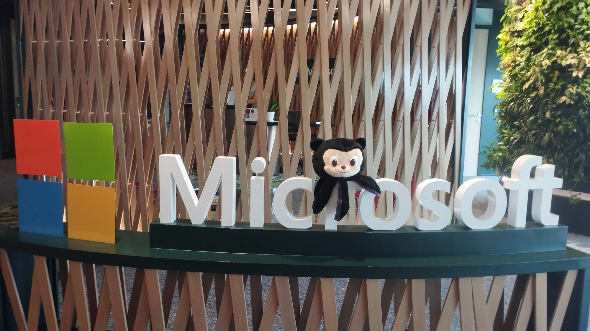 Mona in Microsoft PH